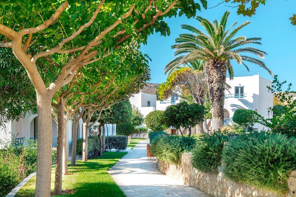 Skiros Palace Hotel Skyros Exterior foto