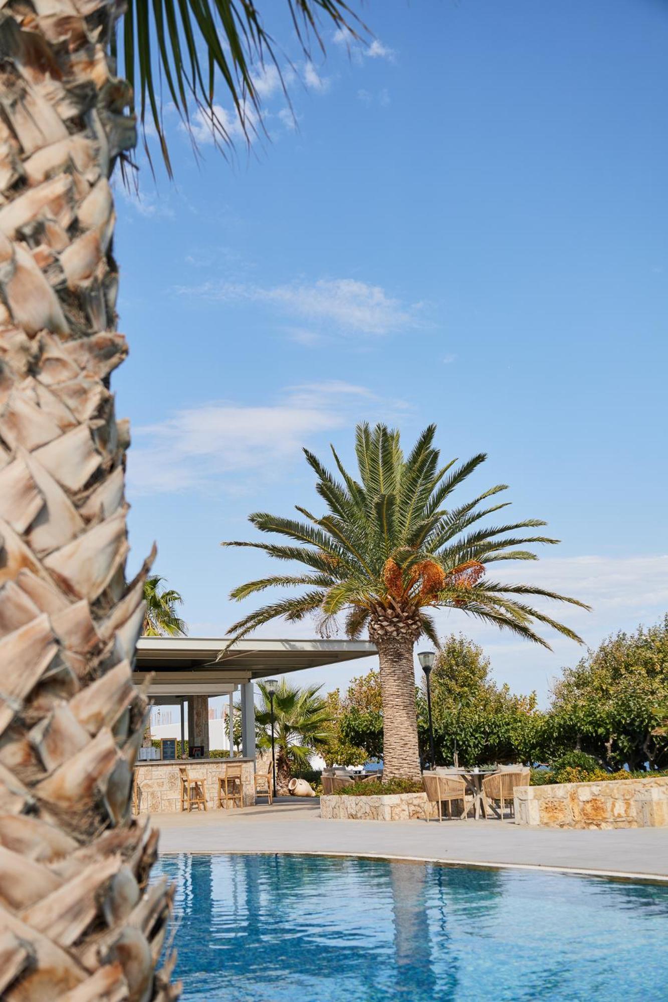 Skiros Palace Hotel Skyros Exterior foto